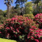 D-Day and the Unexplained Sturgeon